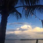 Marilyn Heckman Natale - @marilyn.natale - Instagram