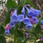 Marilyn Heitz - @mheitz2 - Instagram