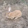 Mari-Ly Hendrikson - @marily.hendrikson - TikTok