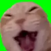 Marily Hendrikson - @marily.hendrikson6 - TikTok