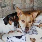 Marilyn Henry - @marilyn.henry.52 - Instagram