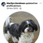 Marilyn Herdman - @marilynherdman - Instagram