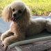 Marilyn Herman - Facebook