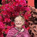 Marilyn Hertzberg - @marilynhertzberg - Instagram