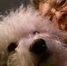 Marilyn Hertzer - Facebook
