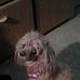 Marilyn Hester - Facebook