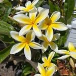 Marilyn Hester Effinger - @marilyn_e25 - Instagram