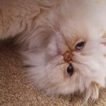 Marilyn Hogan - @marilynhogan.7 - Instagram