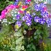Merilyn Hogan - Facebook