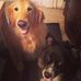 Maralyn Holmberg - Facebook
