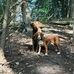 Marilyn Holmberg - Facebook