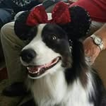 Marilyn Hutton - @huttonmarilyn - Instagram