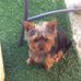 Marilyn Hutton - Facebook