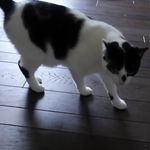 ivy the queen - @ivy.marilyn.mae - Instagram