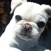 Marilyn Pugroe and Joe DiPuggio - Facebook