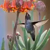 Marilyn Karres-Pherson - @marilyn.karresphe - TikTok