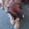 Marilyn Kee - @marilyn.kee - TikTok
