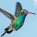 Marilyn Joyce Kellogg - Facebook