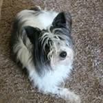 Marilyn Kemp - @mgkgoldcoast - Instagram