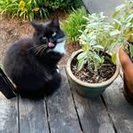 Marilyn Kemp - @kemp0540 - Instagram