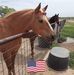 Marilyn Kay Keyser - Facebook
