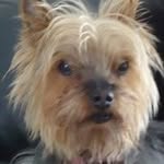 Marilyn KingstonFranklin - @marilynkingstonfranklin - Instagram