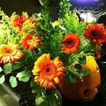 Marilyn Kitchen - @marilynkitchen - Instagram