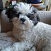 Marilyn Kitson - Facebook