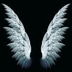 marilyn - @marilynknoll628 - Instagram