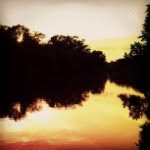 Marilyn Knoll - @marilynknoll754 - Instagram