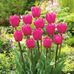 Marilyn Rawlings Sartz-Knudsen - Facebook