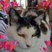 Marilyn Kopplin - Facebook