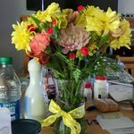 Marilyn Koster - @mkoster0625 - Instagram