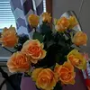 Marilyn Meyer Koster - @marilynmeyerkoster - TikTok