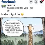 Marilyn Krolak - Facebook