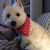 Marilyn Kroll - Facebook