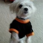 Marilyn Kuiper - @marilynkuiper - Instagram