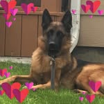 Marilyn Kunkel - @kunkel7058 - Instagram