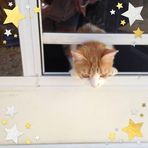 Marilyn Kyle - Facebook
