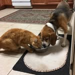 Marilyn Langbehn - @marilyn_langbehn - Instagram