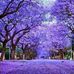 Marilyn Larkin - Facebook