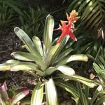 Marilyn Larkin - @marilyn_in_florida - Instagram