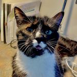 Marilyn Lawrie - @marilynlawrie - Instagram