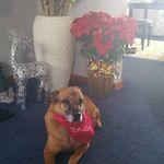 Marilyn Leach - @marilyn.leach.7927 - Instagram