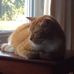 Marilyn LeBlanc - Facebook