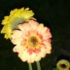 Marilyn LeBlanc - @just.me_1982 - TikTok