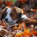 Marilyn LeDoux - Facebook