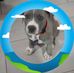 Marilyn Lee Stewart - Facebook
