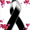 Marilyn Lee Stewart - @marilyn.lee.stewa - TikTok