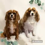 Marilyn Lees - @mazz23943 - Instagram